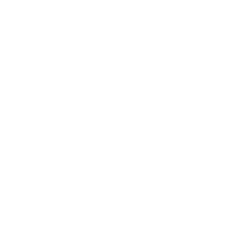 Acupuncture icon