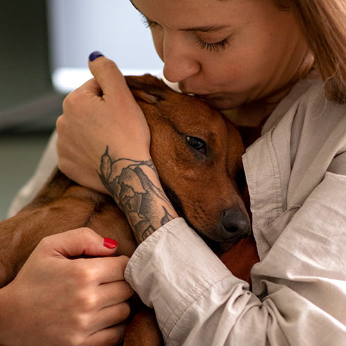 Concerned woman kissing her brown shorthaired dog