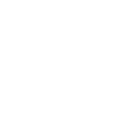 Fast timing icon