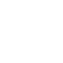 Pet protective cone icon