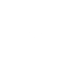 Stethoscope icon
